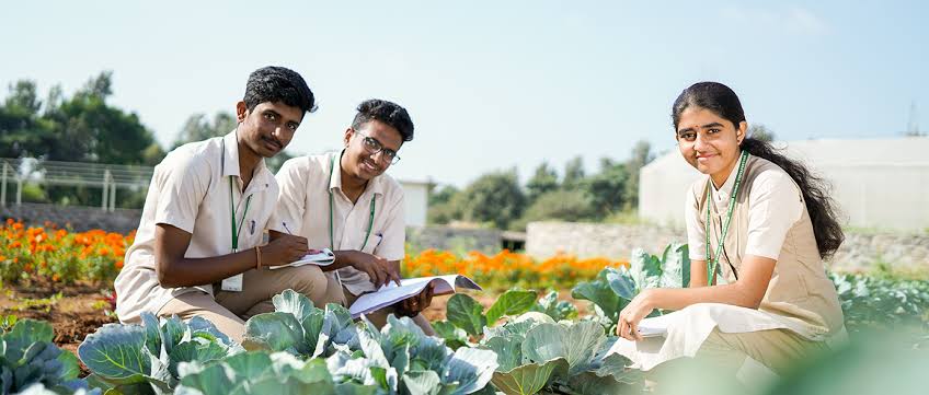 BSc Agriculture Salary 2026