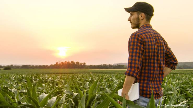 How Crop Insurance Programs Help Farmers Manage Weather Risks